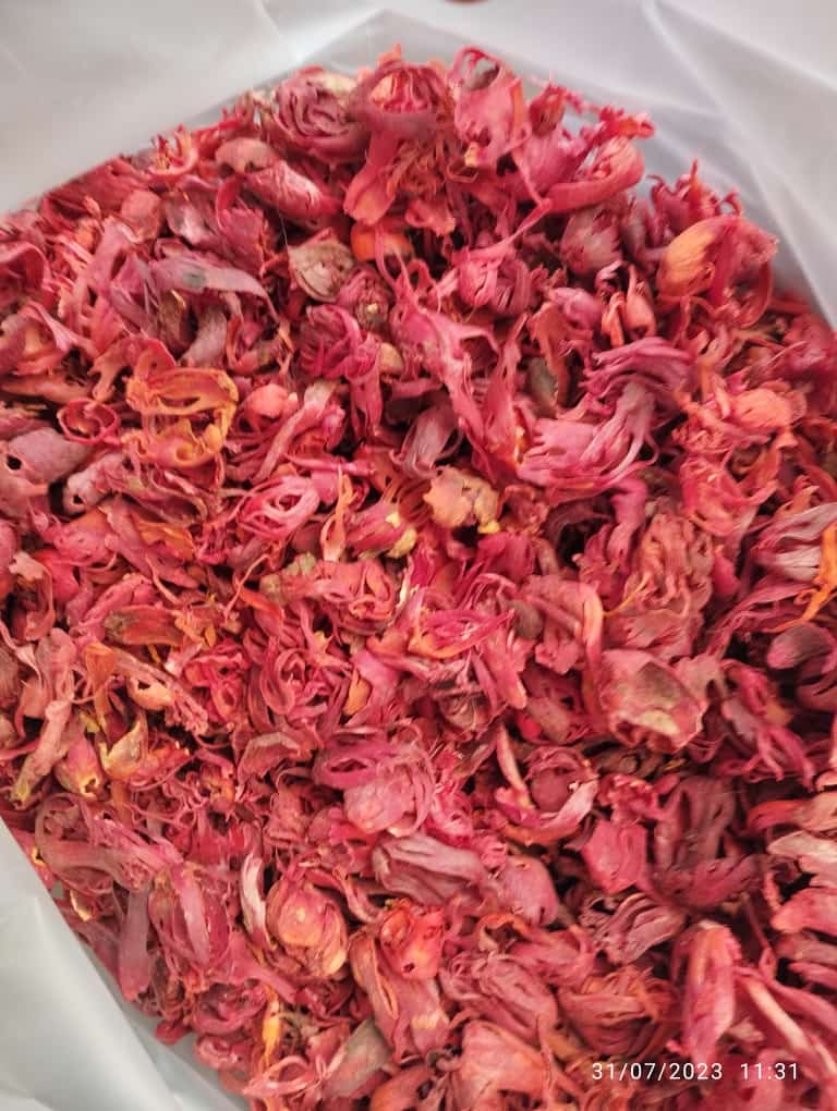 WhatsApp Image 2023-08-04 at 3.09.52 PM.jpeg