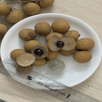longan-003-600-450-150x150.jpg