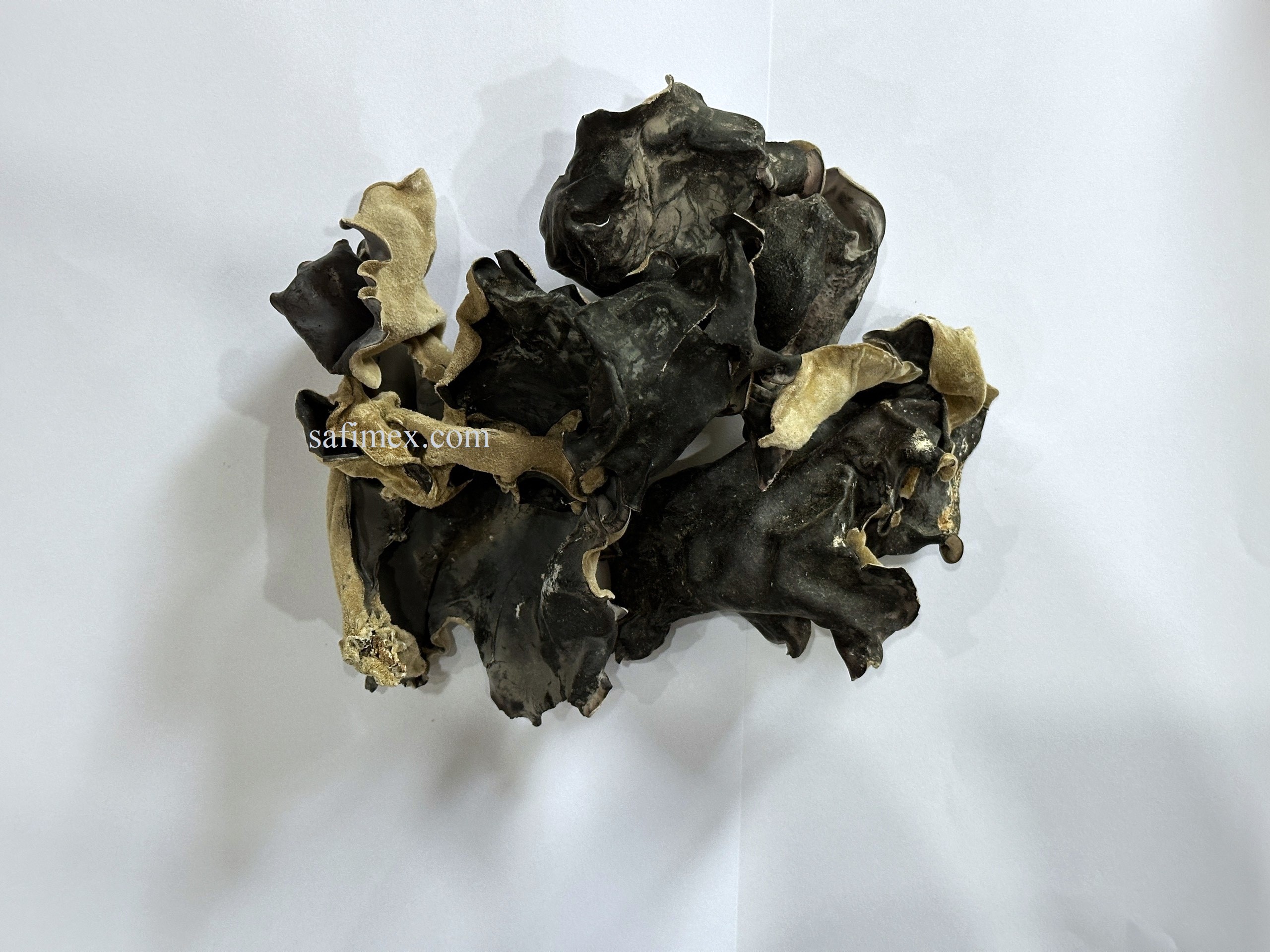 wood ear mushroom9.jpg