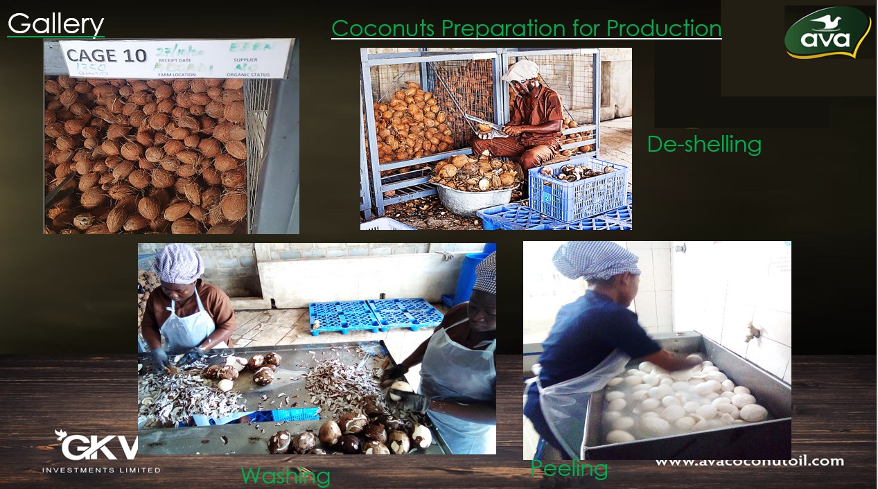 coconuttys 1.jpg