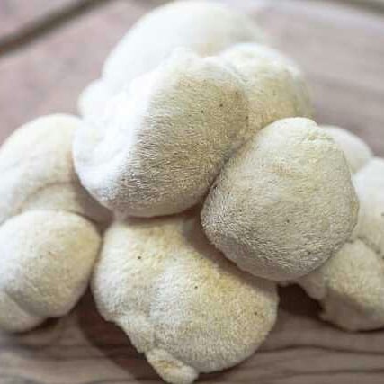 myctysonmushrooms_20200619_8.jpg
