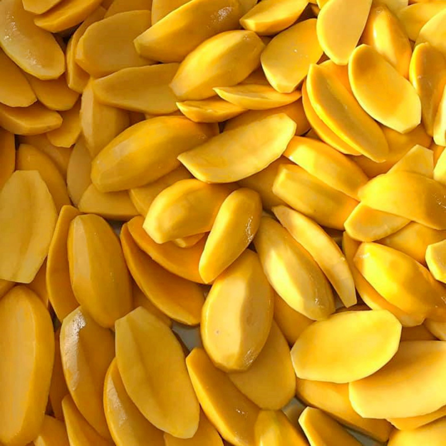 Soft Dried Mango Low Sugar Added-FruitBuys Vietnam (3).jpg