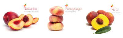 Serrafrutta - Products