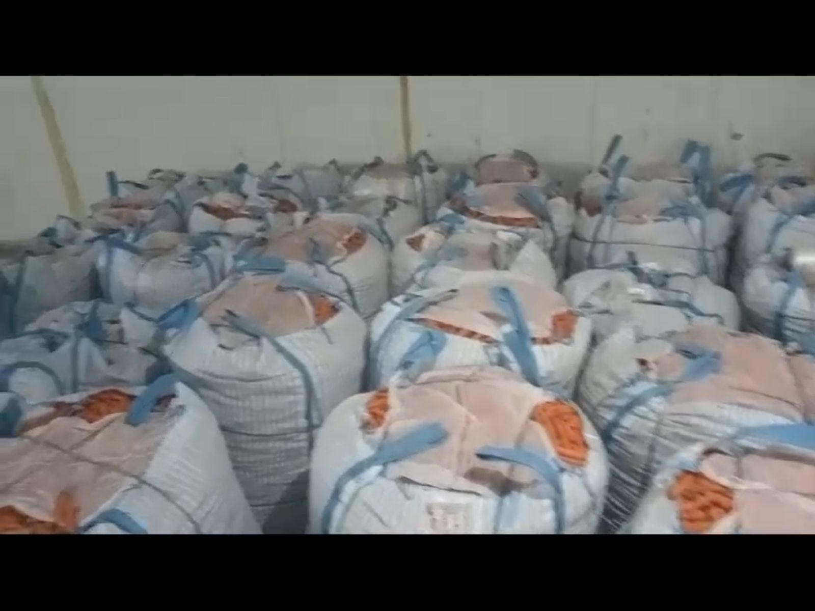 CARROTS 3.jpg