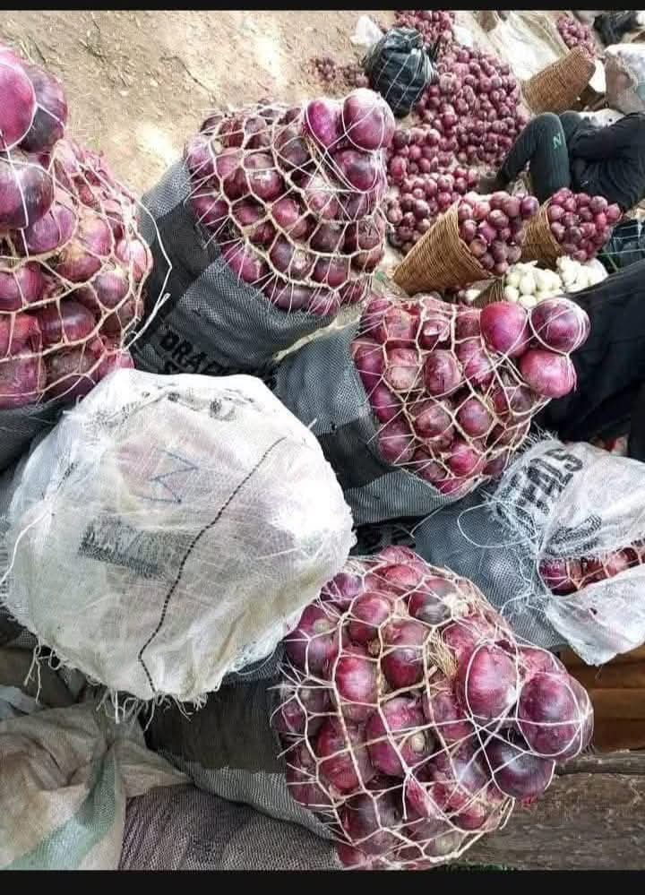 onions 1.jpg