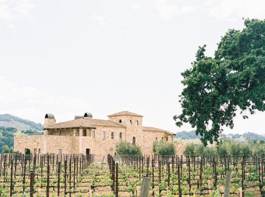 Vineyard