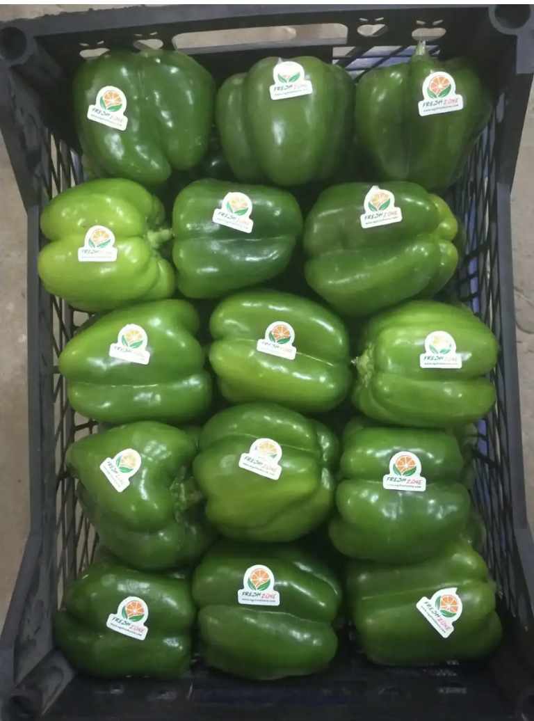 Egyptian Fresh Capsicum3.png