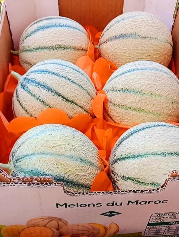 WhatsApp Image 2022-03-21 at 00.43.26 (1).jpeg