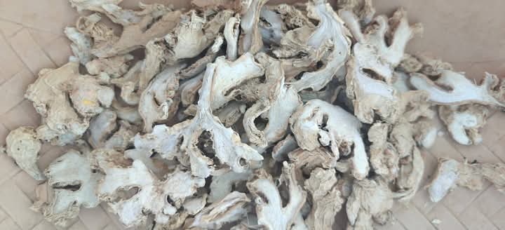 dry ginger 1.jpg
