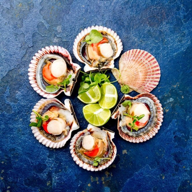 scallops-x-6-in-half-shells-p448-1454_medium.jpg