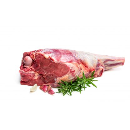 AdobeStock_318065166-scaled-416x416.jpg