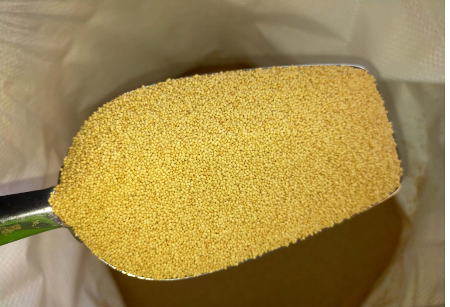 Screenshot 2026-03-20 103817.png