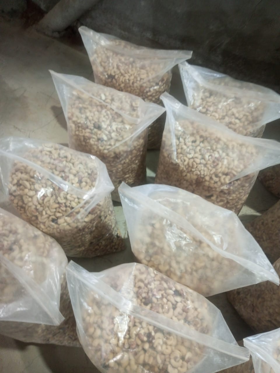 Noix_cajou_côte_ivoire_zadi#kodra-export_6.jpg