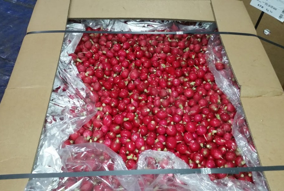 radish packaged 2.jpg