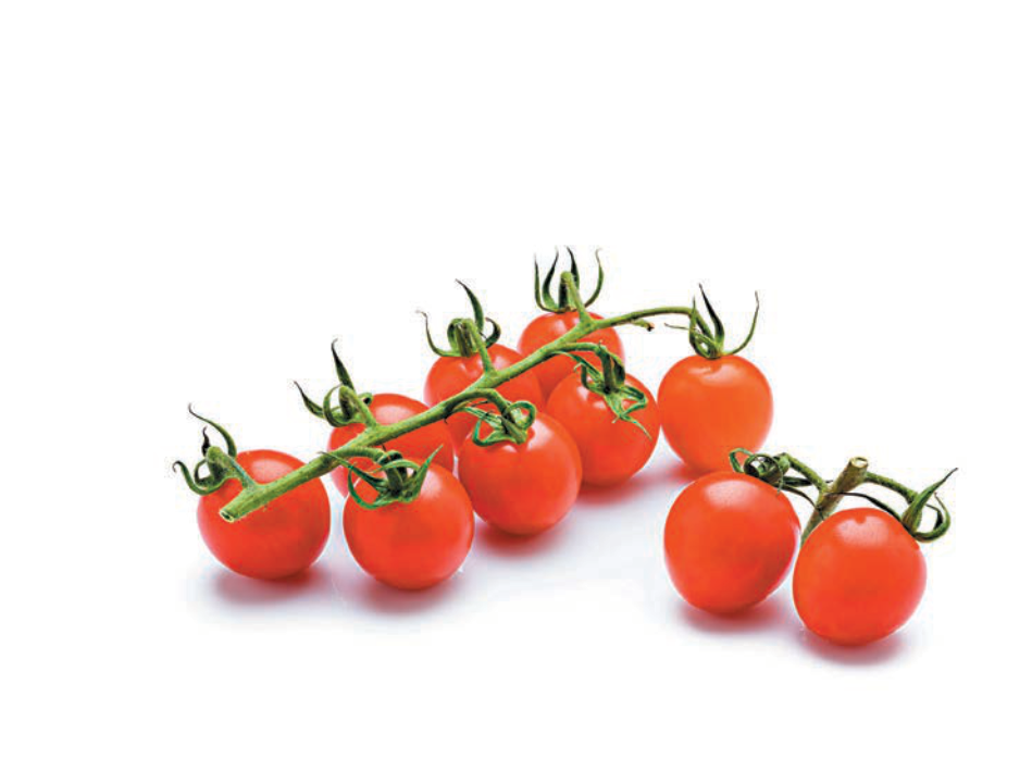 tm-nz-tomatoes-1.png