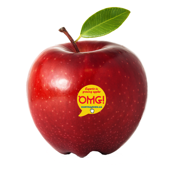3.png