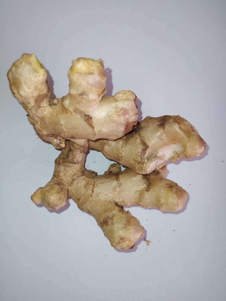 Ginger Zomba.png