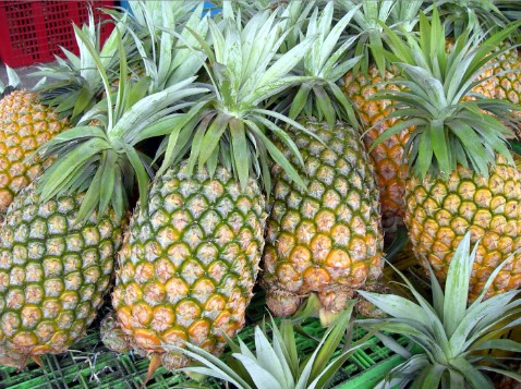 pineapples 3.jpg