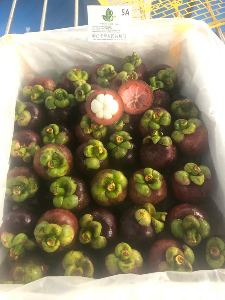 WhatsApp Image 2021-05-21 at 14.34.26 (1).jpeg