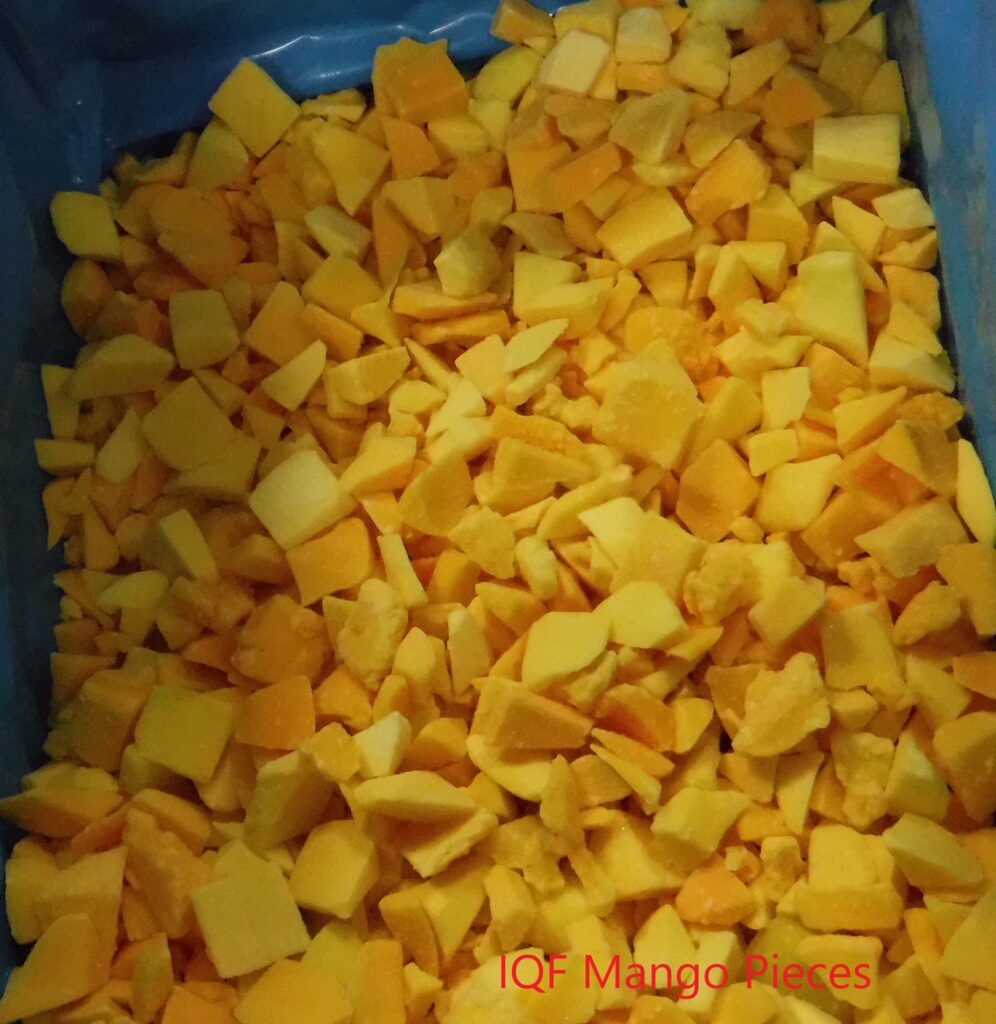 IQF-Mango-Pieces-2023-996x1024.jpg