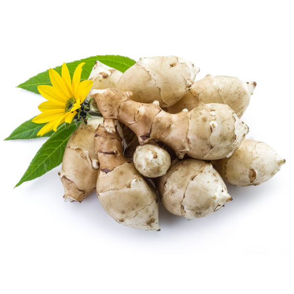 jerusalem-artichoke-tubers.jpg