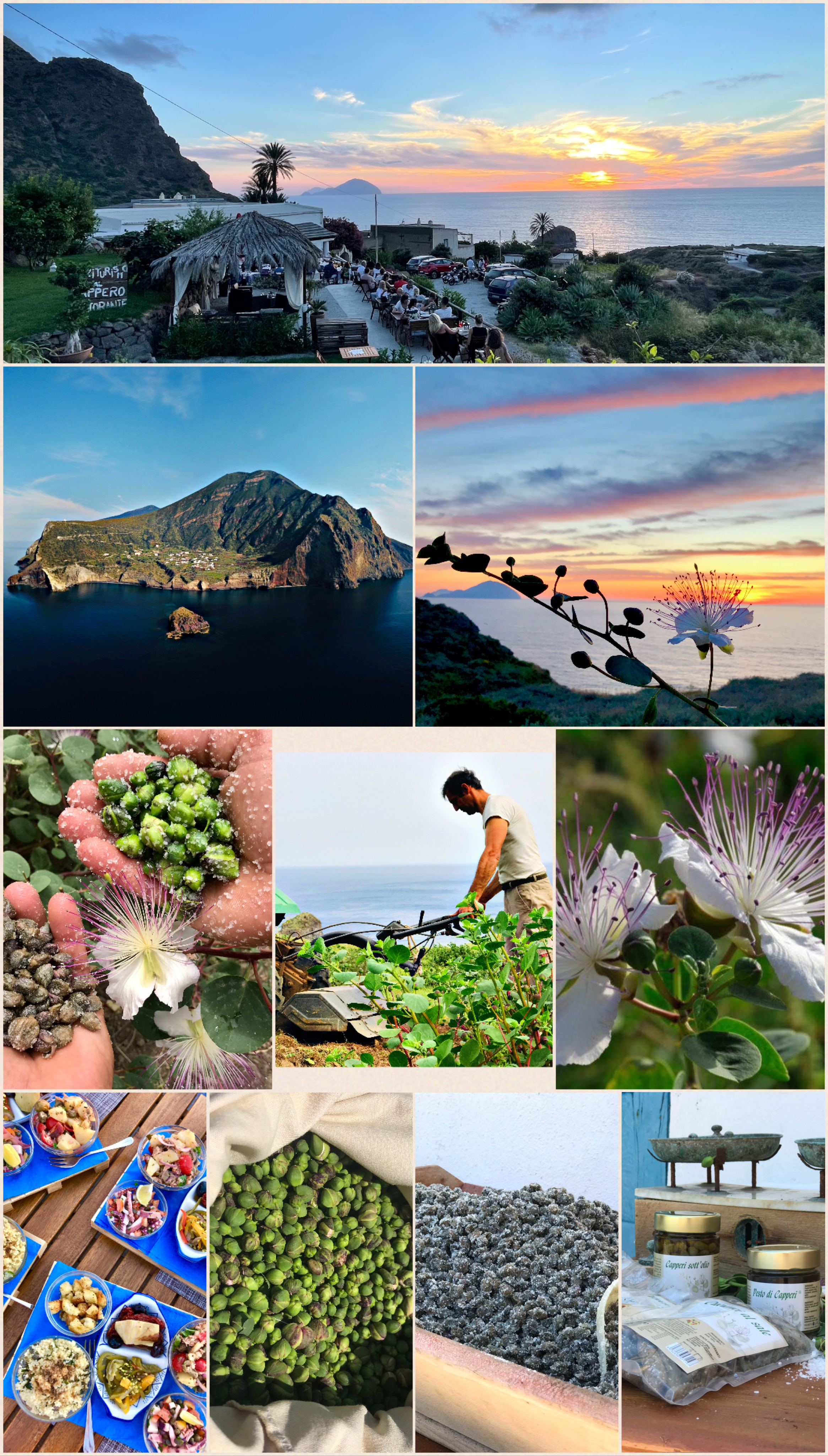 collage capperi di Salina.jpeg