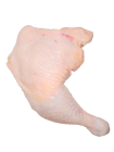 2-Chicken-Leg-Quarter-105x140.png
