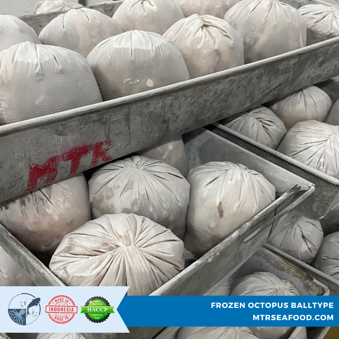 PACKING FROZEN OCTOPUS FLOWER  MTRSEAFOOD.COM (2).png