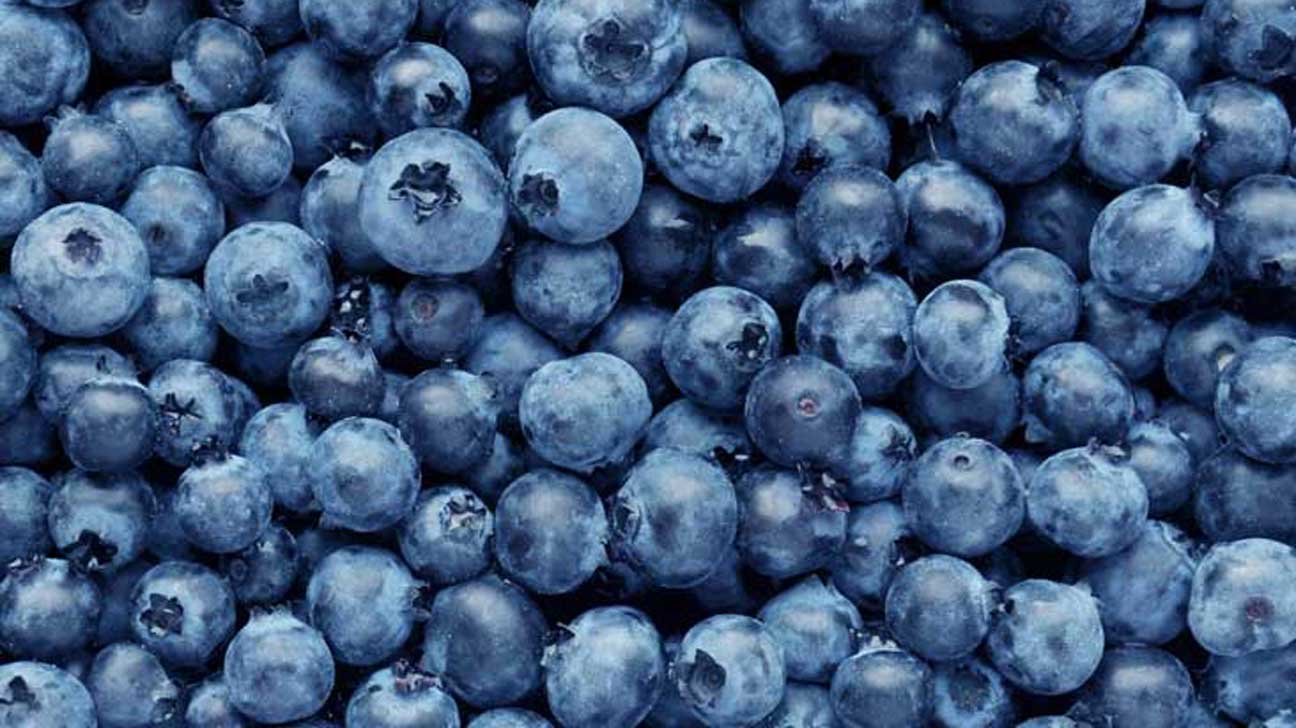 blueberries-1296x728-feature.jpg