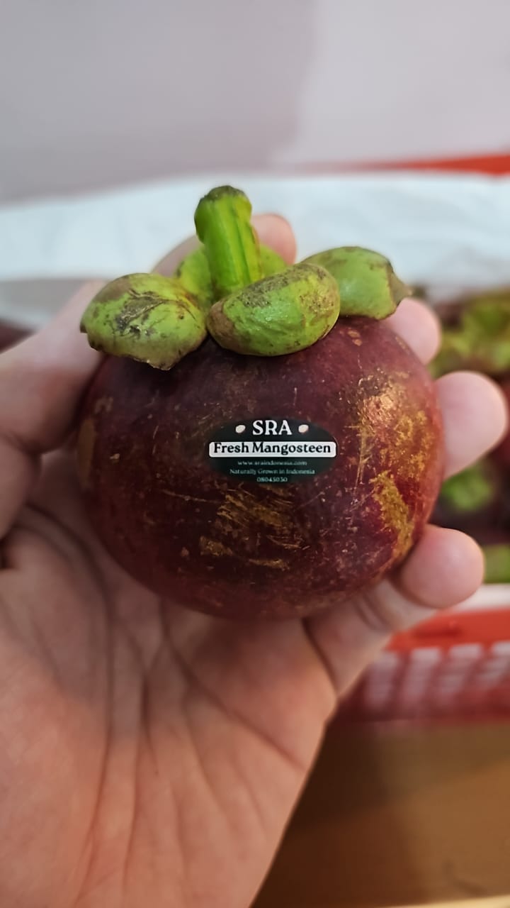 Mangosteen Sagara Rimba Altura - 9.jpeg