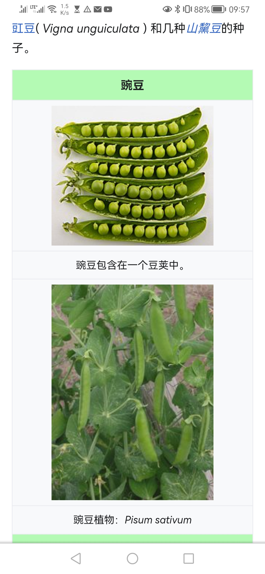 Screenshot_20221203_095742_com.android.chrome.jpg