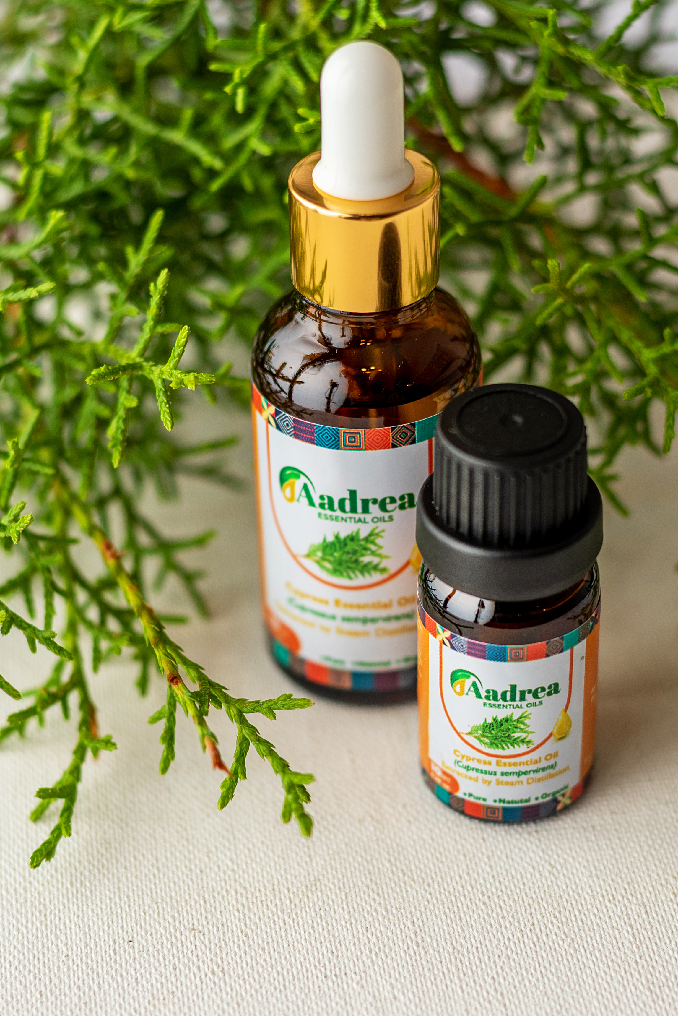 cypress proped 2.jpg