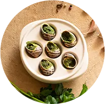 circle-reencoqiolle.png.webp