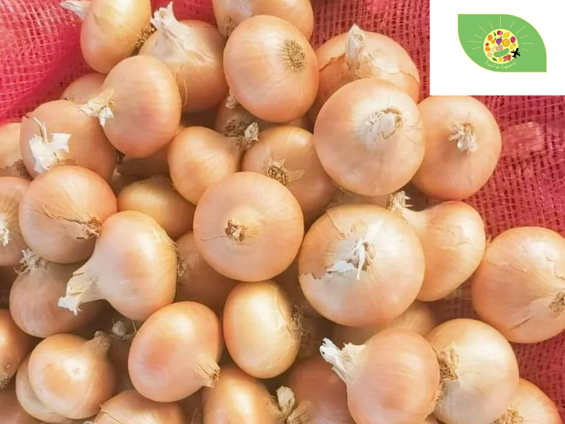 fresh onion (1).png