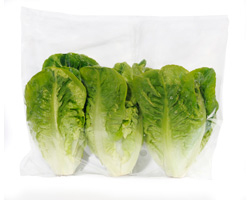 gh-murciana-de-vegetales-lechuga-little-gem-tween-3ud.jpg