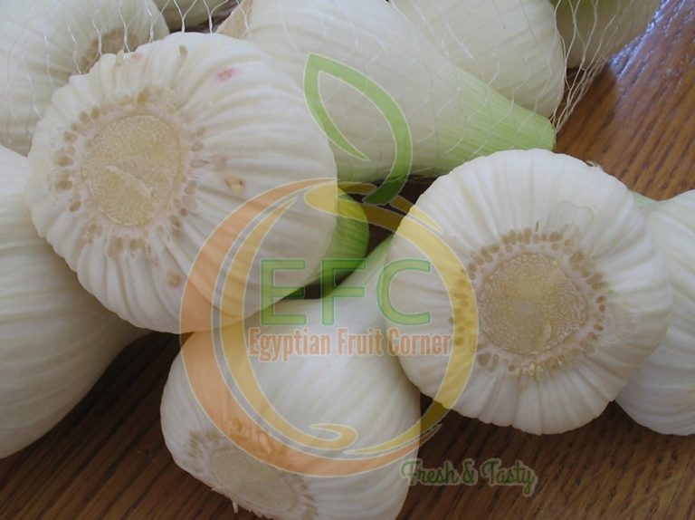 Fresh-Garlic-3-768x574.jpg