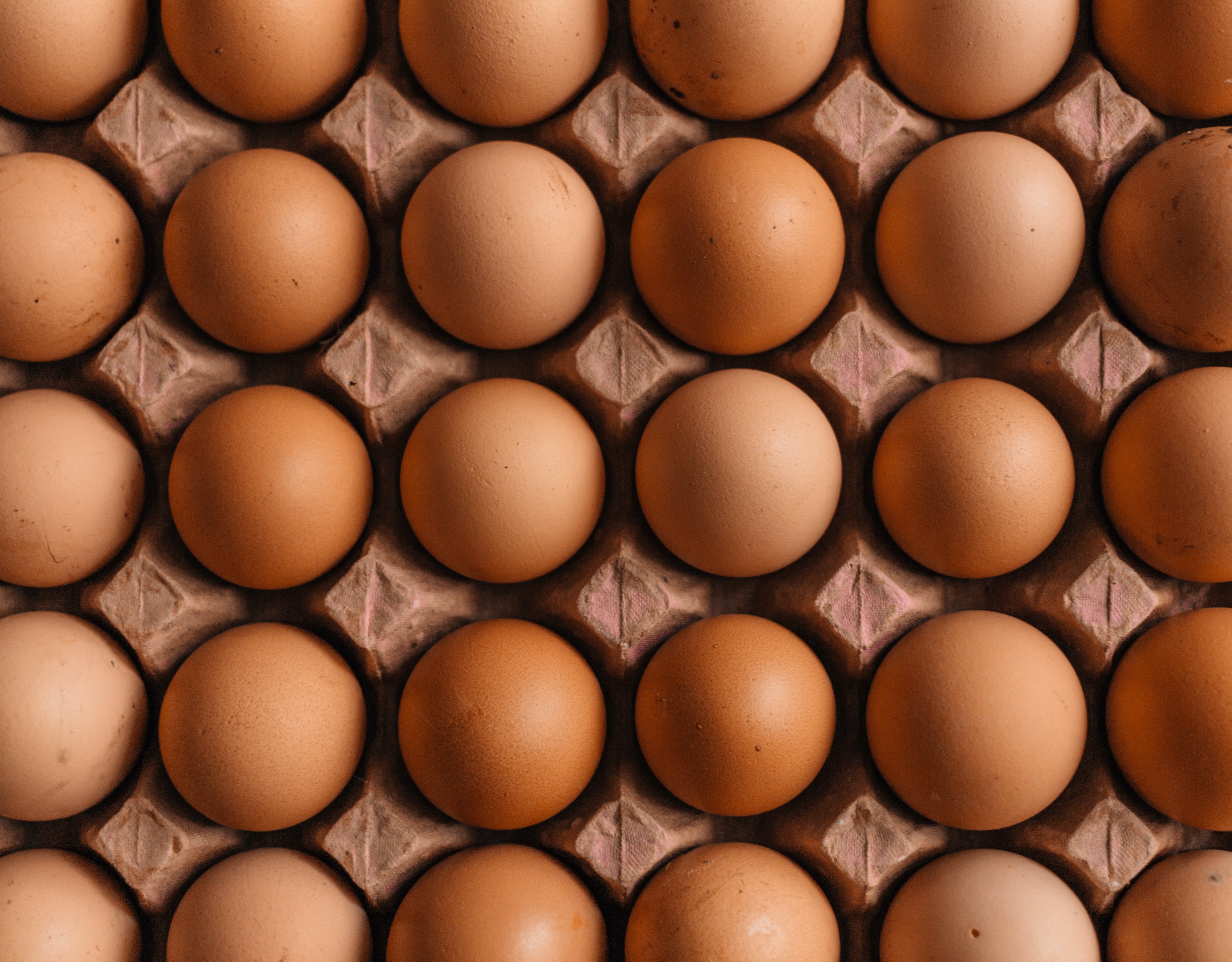 EXPORTERA FREE RANGE EGGS UNSPLASH.jpg