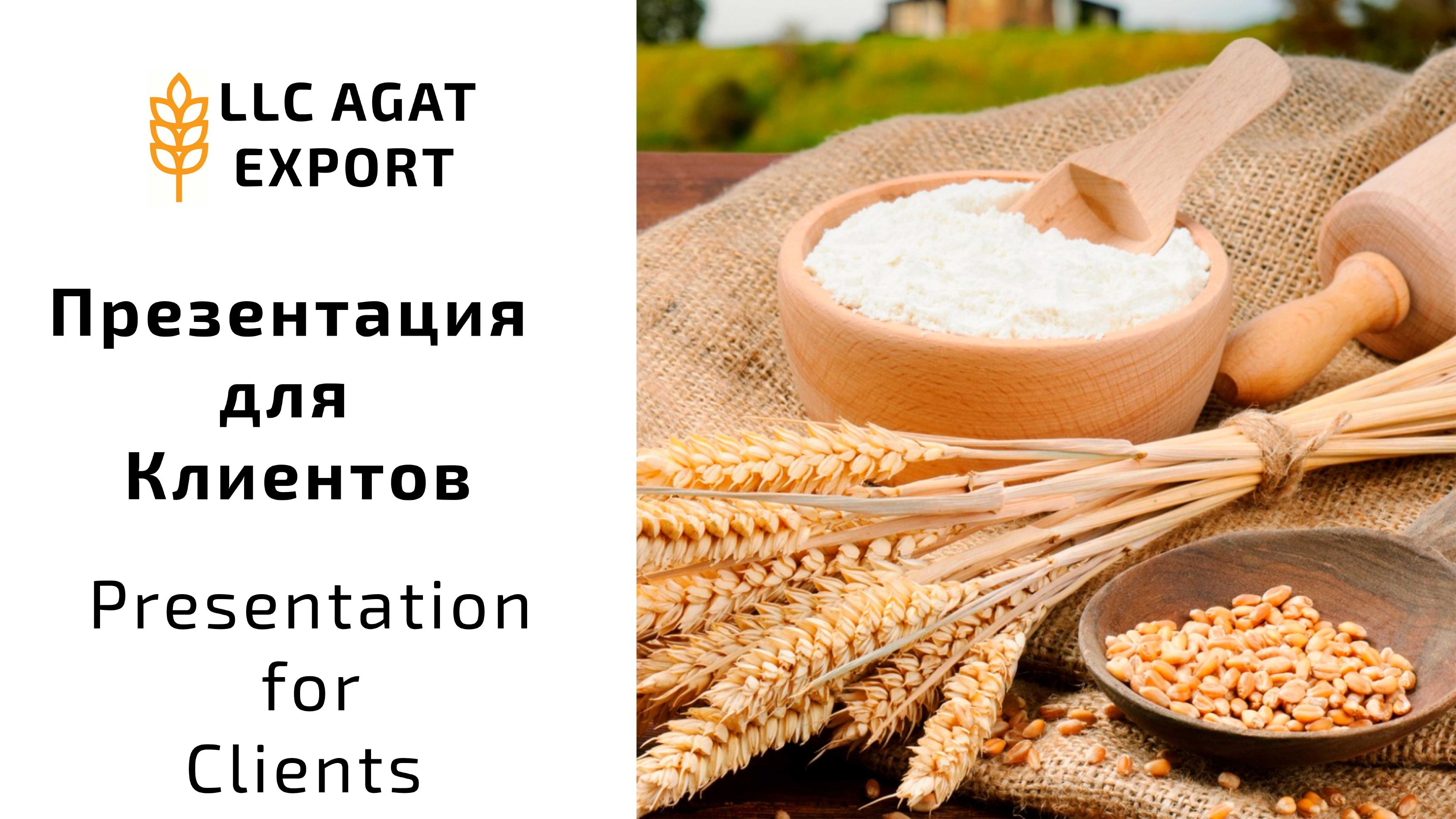 060324 Agat Export Present-изображения-0.jpg