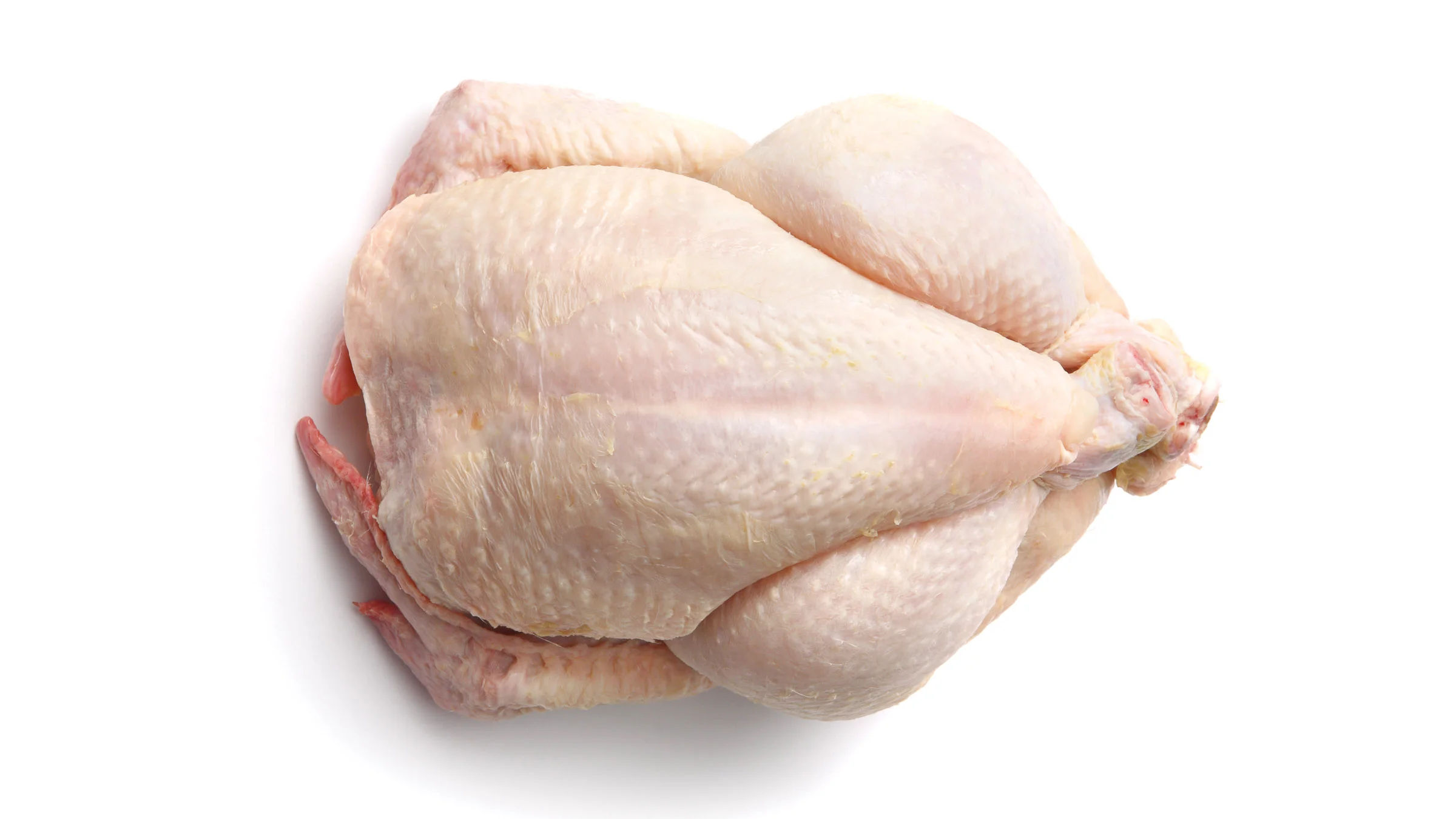 Chicken.webp