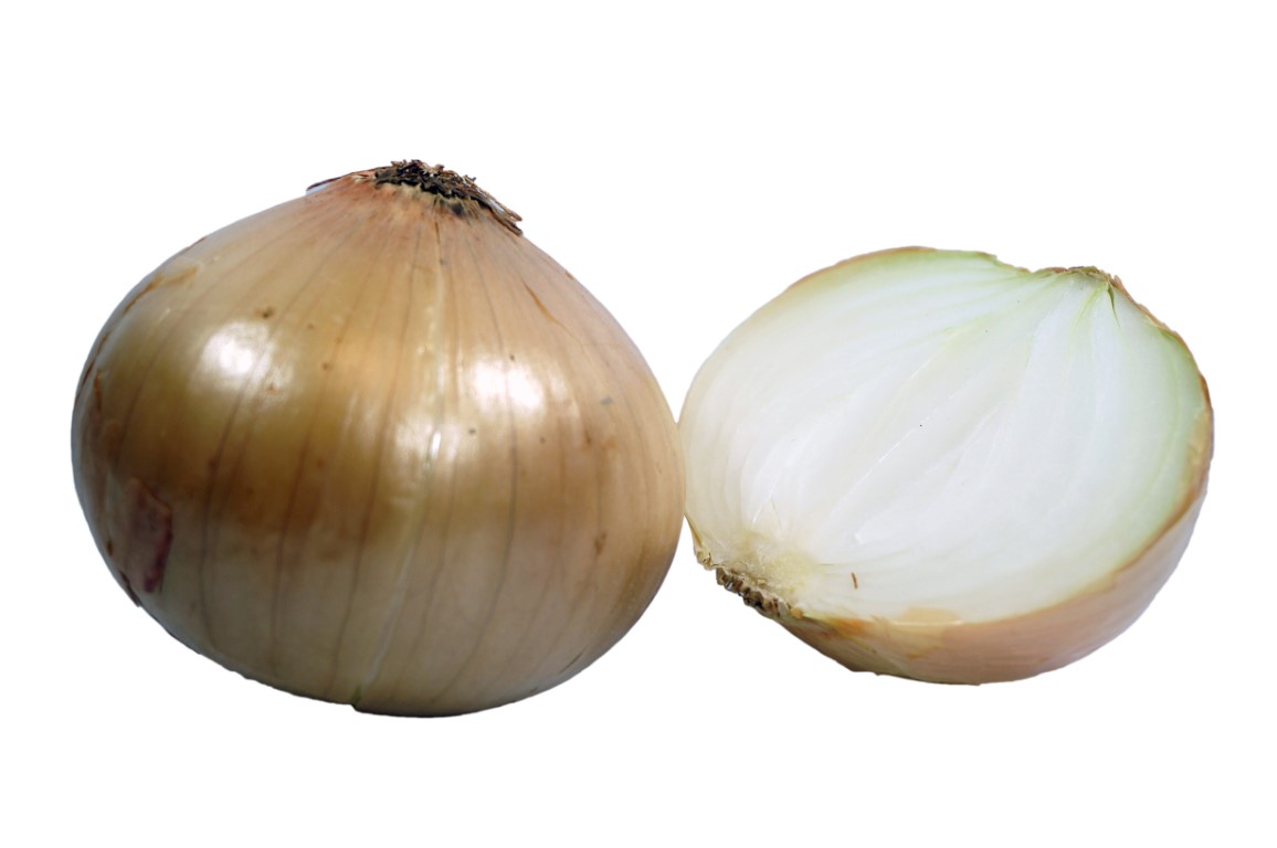 Onion-5.jpg