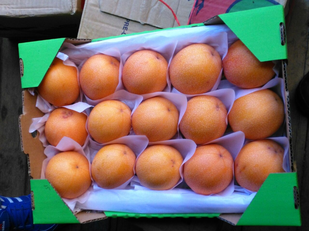 PASSION FRUIT (GRANADILLA)2.jpeg