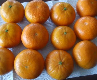 dscf7945.jpg