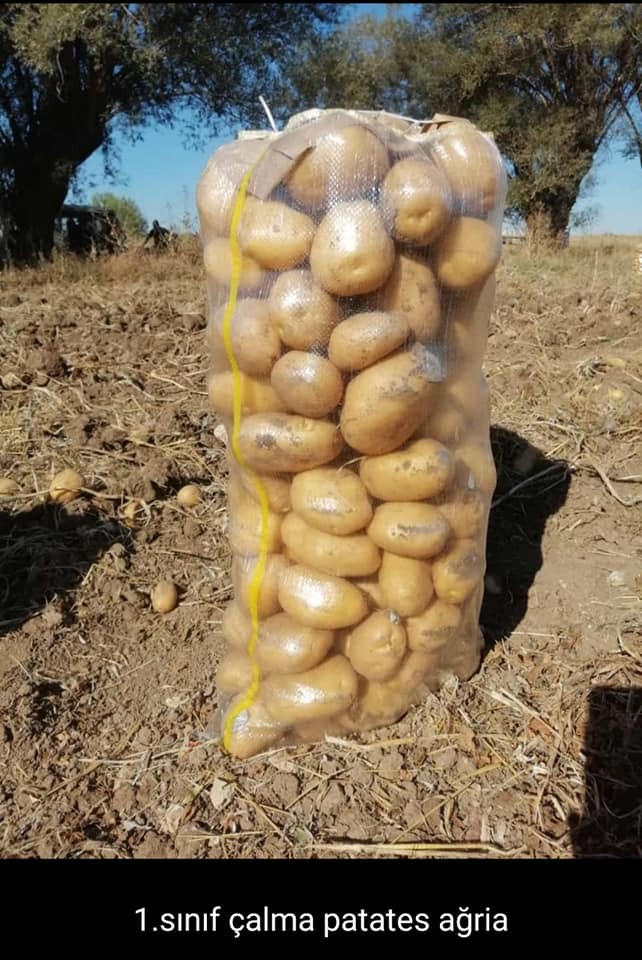 sprzedam_patatas-fresco-patatas-_agro-marke24_ceny rolnicze-145445-92353.jpg