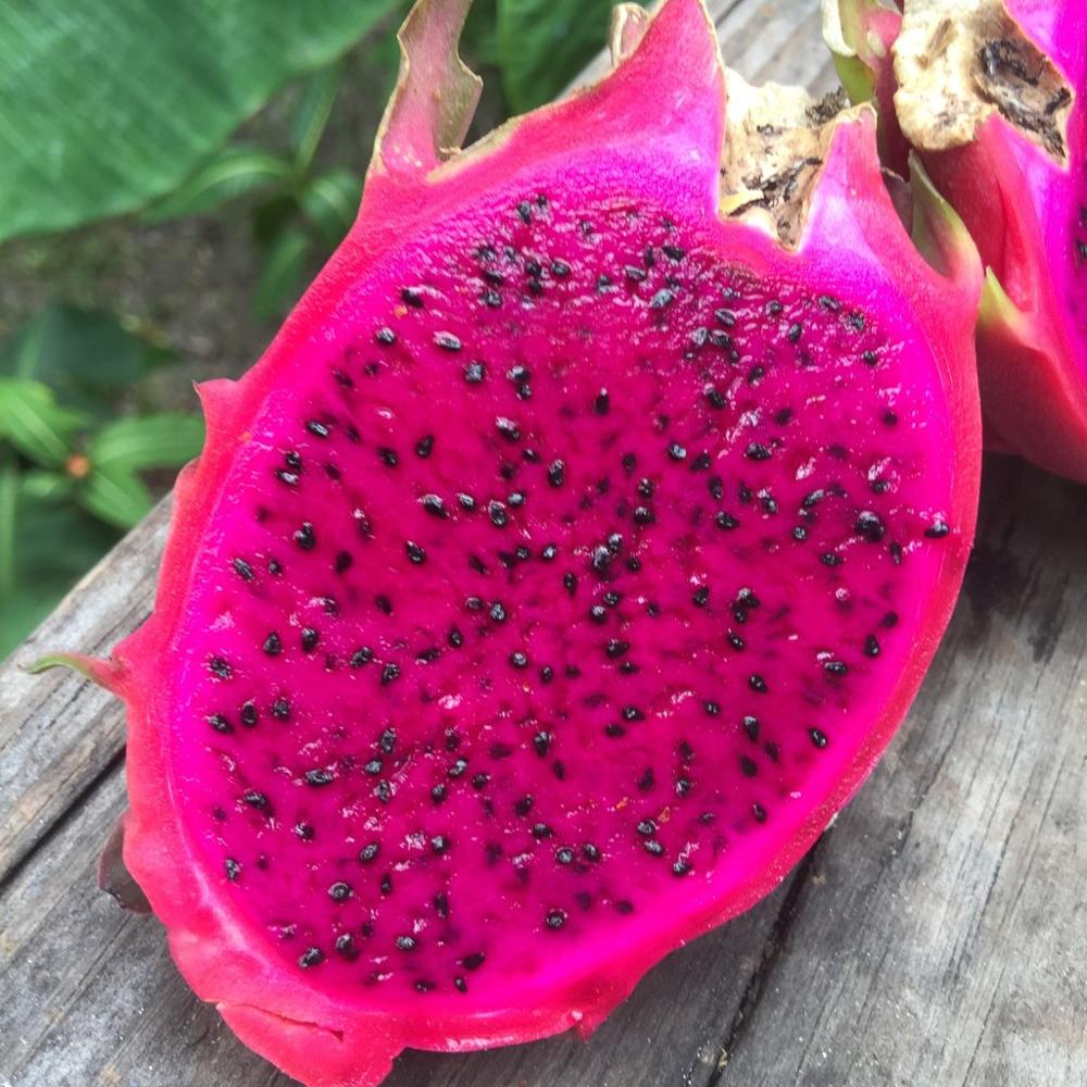 red-dragon-fruit.jpg