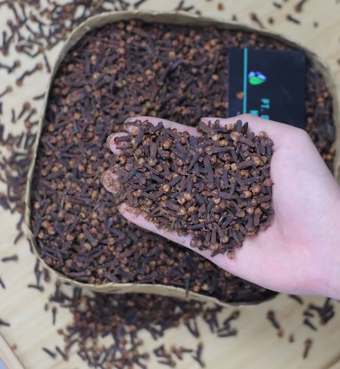 Clove.JPG