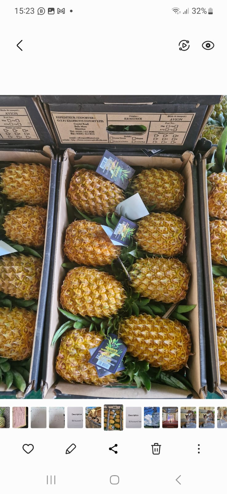 Ananas Victoria#Kodra-Export 5.JPG