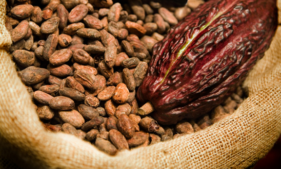 cocoa-production-in-nigeria.png
