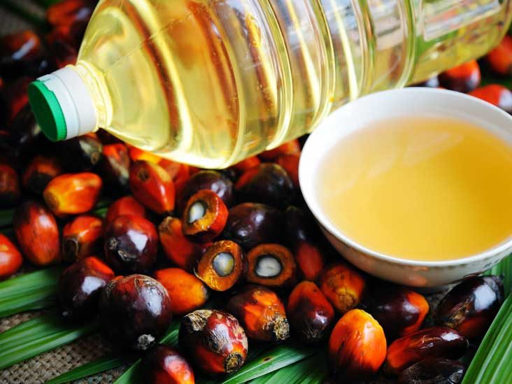 AN405-palm-oil-fruit-732x549-Thumb-1-732x549.jpg