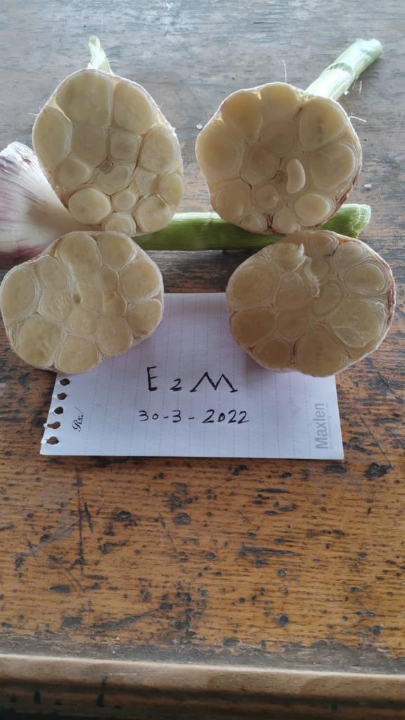 WhatsApp Image 2022-05-26 at 12.12.52 PM (2).jpeg