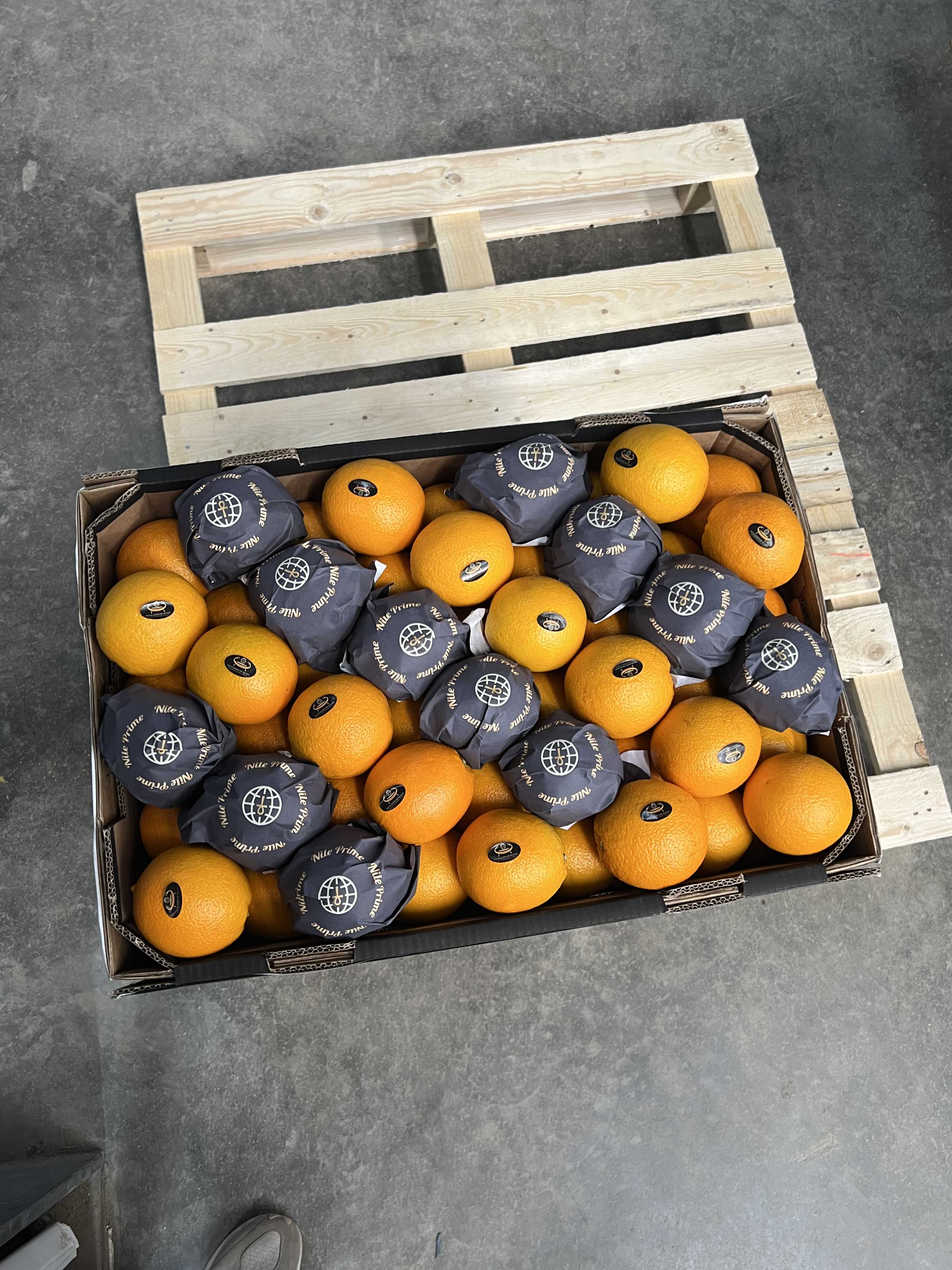 PEI Trade Oranges V (6).jpeg